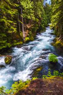 McKenzie River-0247.jpg